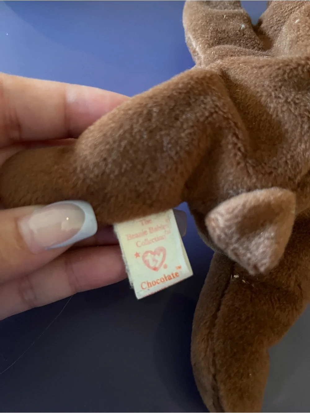 Chocolate the Moose Beanie Baby